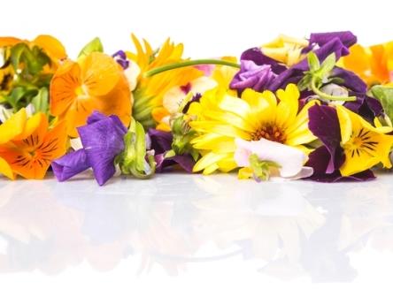 shutterstock_272378312 Edible Flowers
