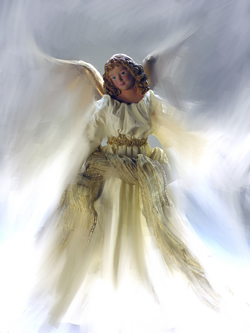 Guardian Angels Guardian Angels