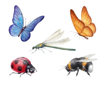 Creatures - Signs & Symbols Creatures - Signs & Symbols