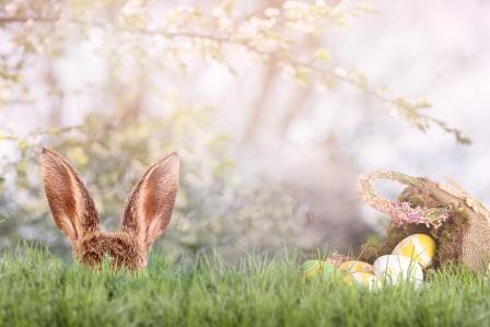 easter Easter