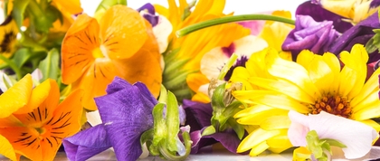 flowers
