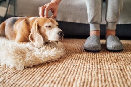 shutterstock_1594944874 Stress