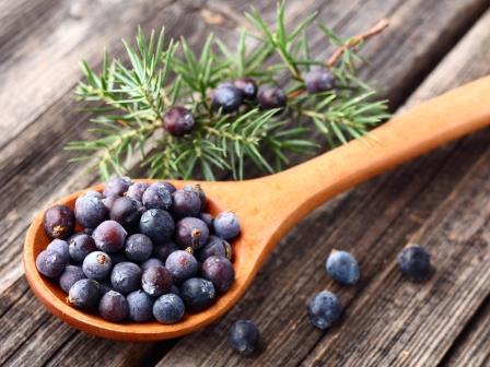 Juniper Berries - Gin