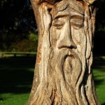 A carved tree