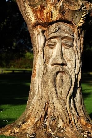 A carved tree