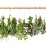 Healing Herbs