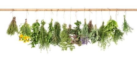 Healing Herbs